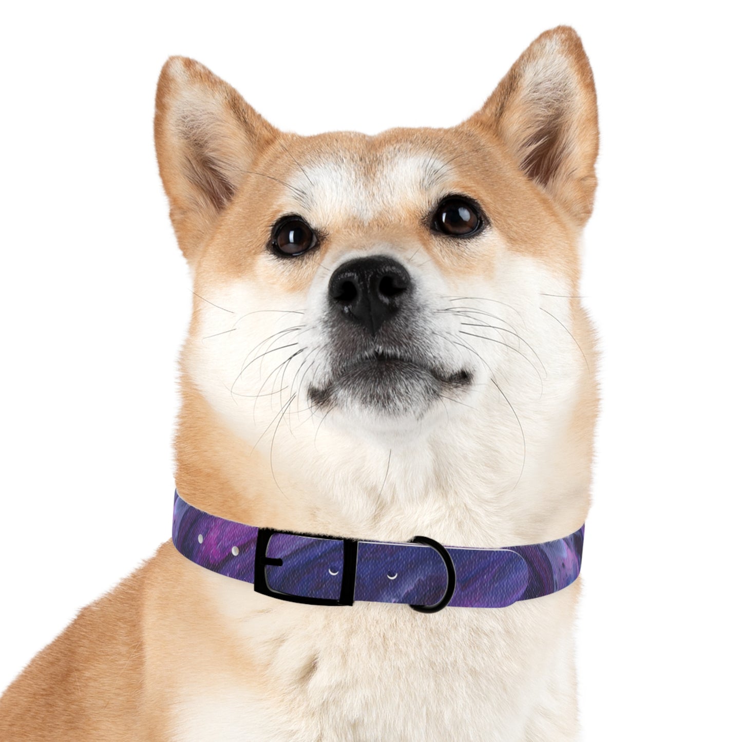 Vibrant Galaxy Dog Collar | Colorful Pet Accessory, Ideal for Dog Lovers, Stylish Canine Gear, Gift for Pet Owners, Unique Dog Fashion