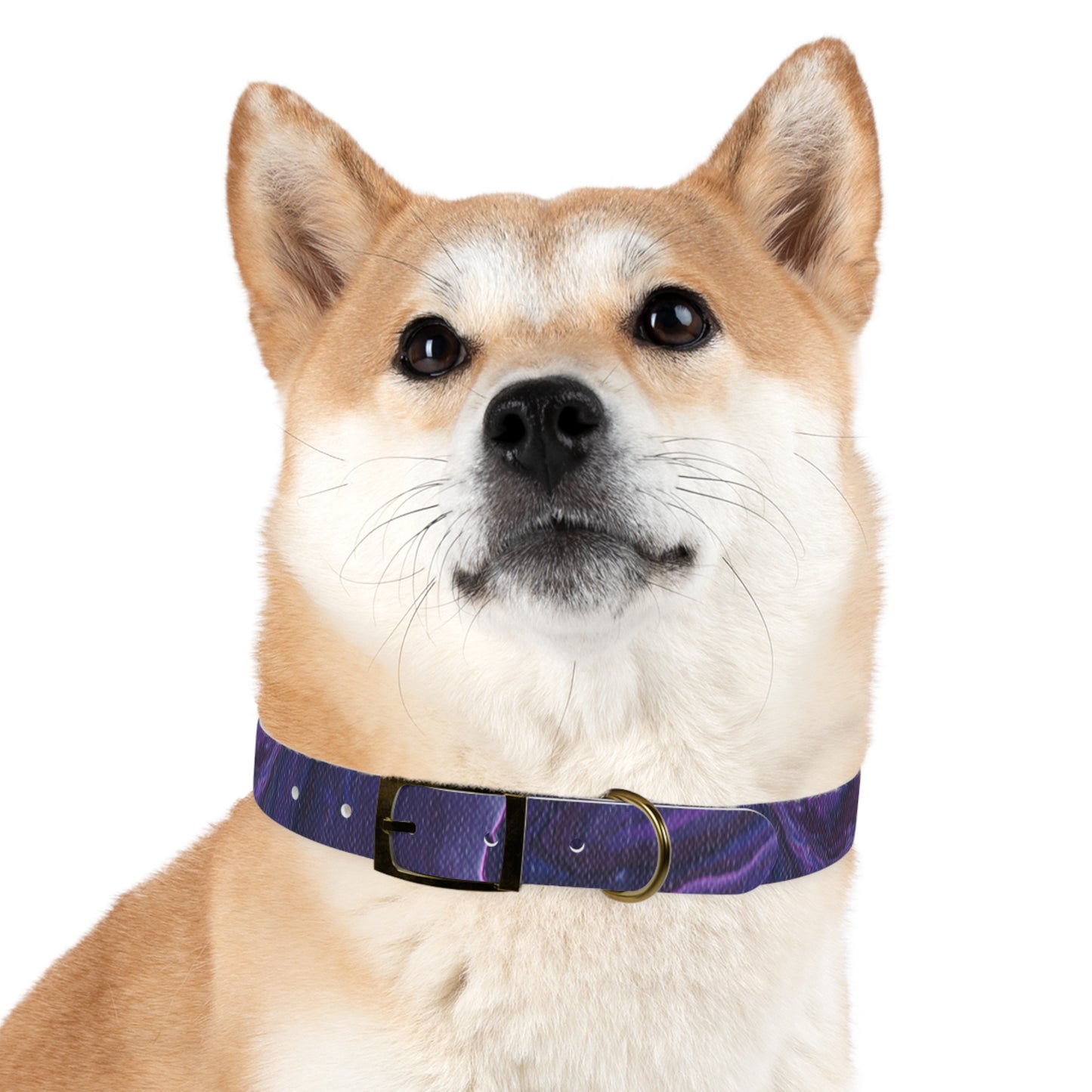 Vibrant Galaxy Dog Collar | Colorful Pet Accessory, Ideal for Dog Lovers, Stylish Canine Gear, Gift for Pet Owners, Unique Dog Fashion