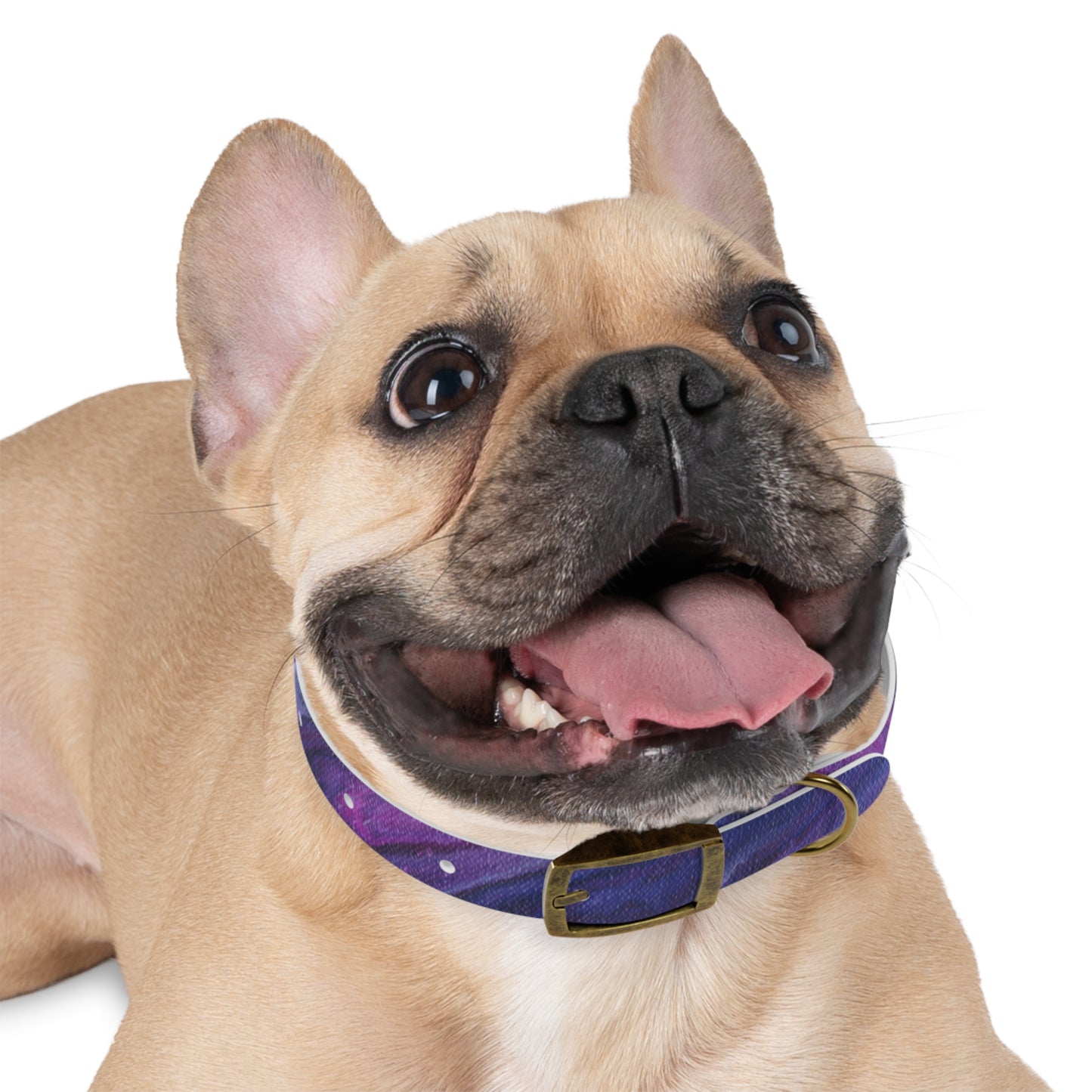 Vibrant Galaxy Dog Collar | Colorful Pet Accessory, Ideal for Dog Lovers, Stylish Canine Gear, Gift for Pet Owners, Unique Dog Fashion