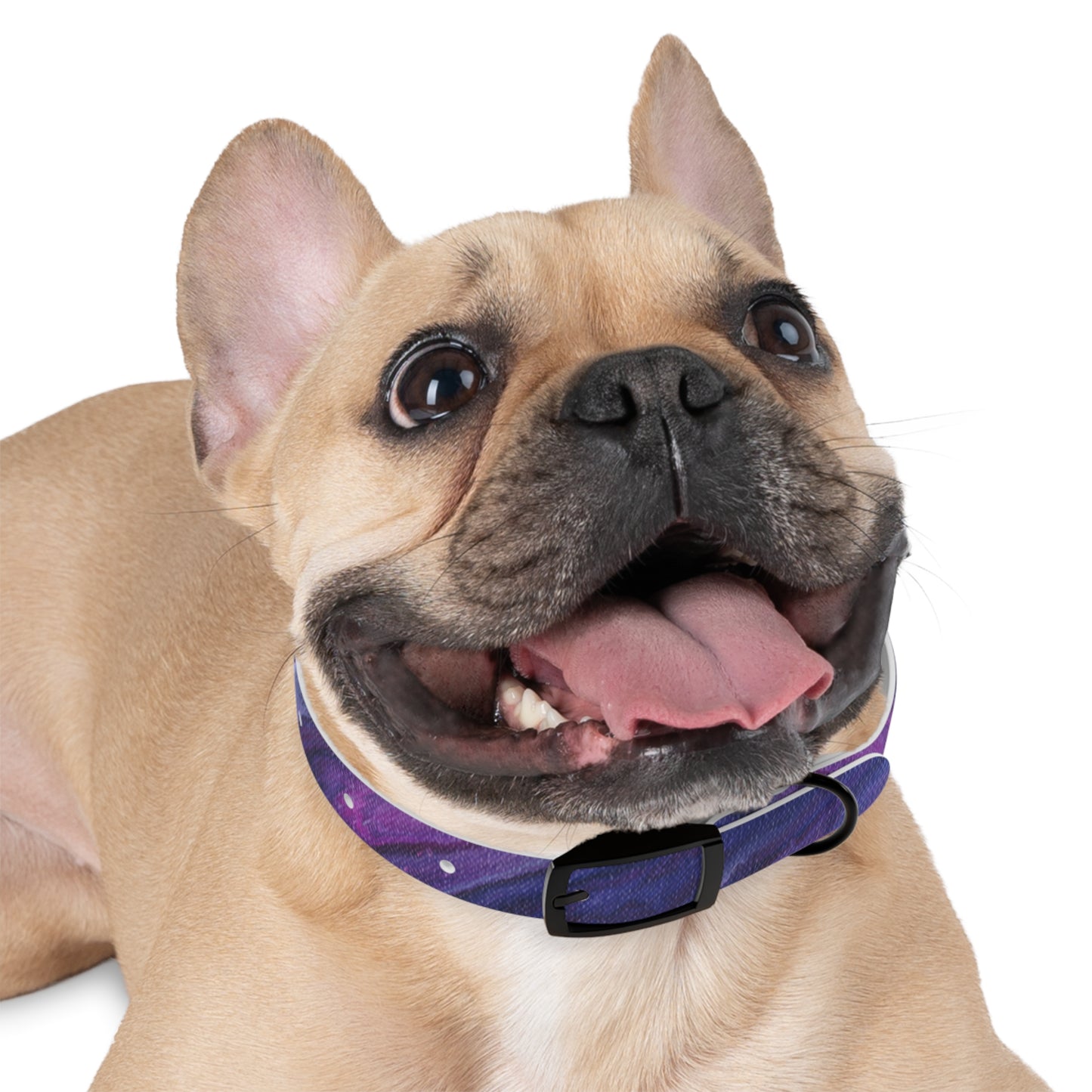 Vibrant Galaxy Dog Collar | Colorful Pet Accessory, Ideal for Dog Lovers, Stylish Canine Gear, Gift for Pet Owners, Unique Dog Fashion