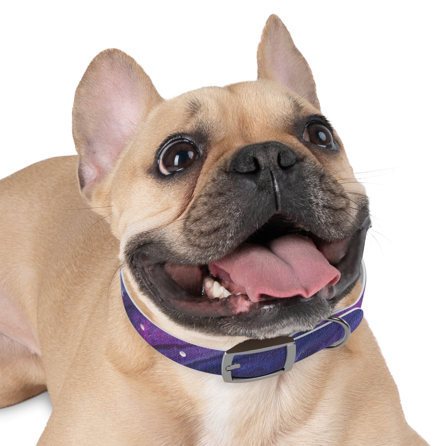 Vibrant Galaxy Dog Collar | Colorful Pet Accessory, Ideal for Dog Lovers, Stylish Canine Gear, Gift for Pet Owners, Unique Dog Fashion