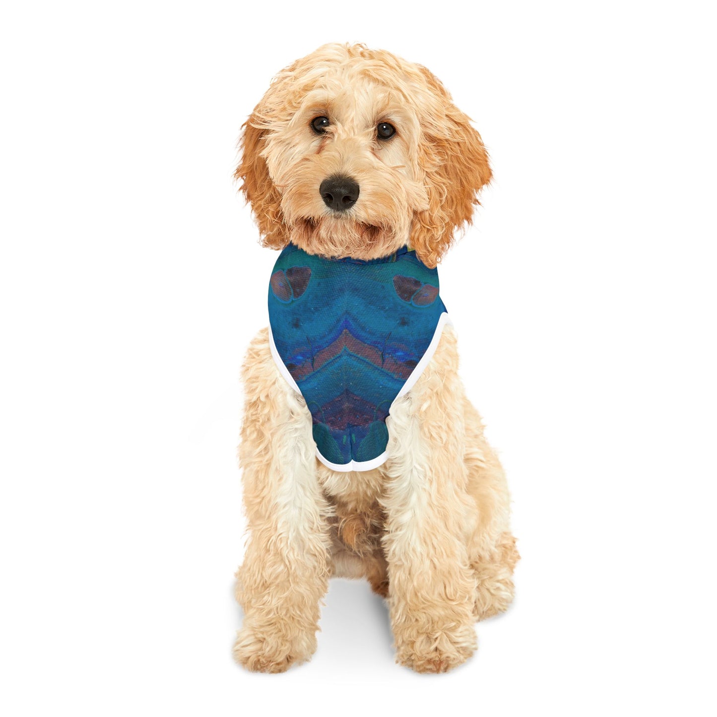 Vibrant Pet Hoodie for Stylish Pets, Colorful Dog Apparel, Fashionable Cat Hoodie, Fun Pet Gift, Cozy Petwear