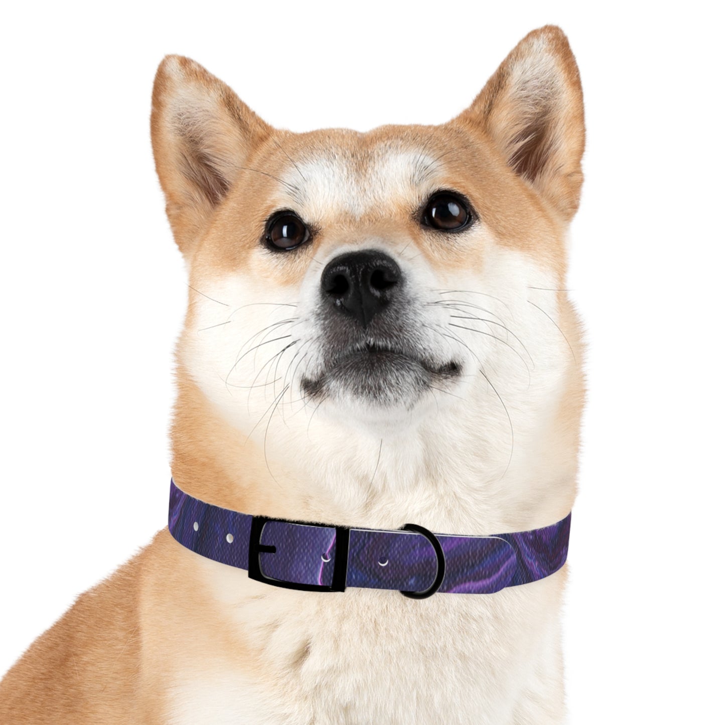 Vibrant Galaxy Dog Collar | Colorful Pet Accessory, Ideal for Dog Lovers, Stylish Canine Gear, Gift for Pet Owners, Unique Dog Fashion